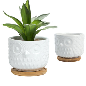 K-Cliffs Owl Succulent Planter Pots with Drainage Hole and Bamboo Saucer, Set of 2