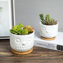 Load image into Gallery viewer, K-Cliffs Owl Succulent Planter Pots with Drainage Hole and Bamboo Saucer, Set of 2