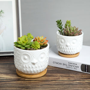 K-Cliffs Owl Succulent Planter Pots with Drainage Hole and Bamboo Saucer, Set of 2