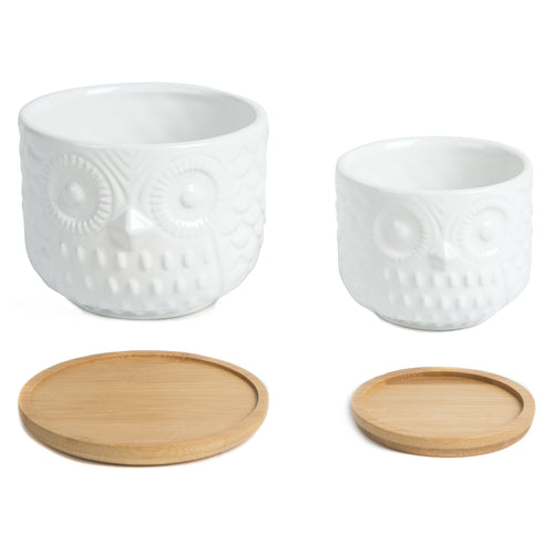 K-Cliffs Owl Succulent Planter Pots with Drainage Hole and Bamboo Saucer, Set of 2