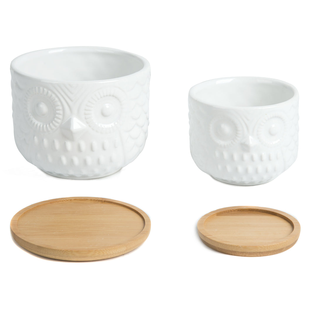 K-Cliffs Owl Succulent Planter, Animal Planter Pots with Drainage Hole and Bamboo Saucer, Set of 2