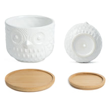 Load image into Gallery viewer, K-Cliffs Owl Succulent Planter, Animal Planter Pots with Drainage Hole and Bamboo Saucer, Set of 2