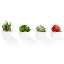 Load image into Gallery viewer, K-Cliffs Set of 4 Mini Assorted Artificial Succulent Plants in White Ceramic Planter Pots
