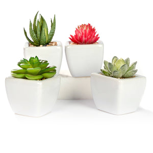 K-Cliffs Set of 4 Mini Assorted Artificial Succulent Plants in White Ceramic Planter Pots