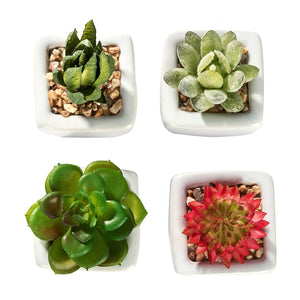 K-Cliffs Set of 4 Mini Assorted Artificial Succulent Plants in White Ceramic Planter Pots