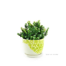 Load image into Gallery viewer, K-Cliffs Lime Yellow Daisies Triple Ceramic Planter Pot 3 Set w/ Water Draining Hole and Saucer (Plants not included)