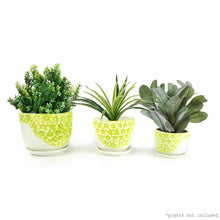 Load image into Gallery viewer, K-Cliffs Lime Yellow Daisies Triple Ceramic Planter Pot 3 Set w/ Water Draining Hole and Saucer (Plants not included)