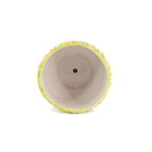 Load image into Gallery viewer, K-Cliffs Lime Yellow Daisies Triple Ceramic Planter Pot 3 Set w/ Water Draining Hole and Saucer (Plants not included)