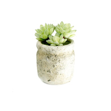 Load image into Gallery viewer, Set of 3 Realistic Faux Succulent Plants in Cement Pot Planter
