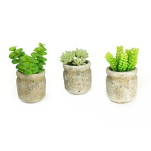 Load image into Gallery viewer, K-Cliffs Set of 3 Realistic Faux Artificial Succulent Plants in Cement Pot