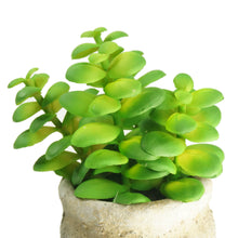 Load image into Gallery viewer, Set of 3 Realistic Faux Succulent Plants in Cement Pot Planter