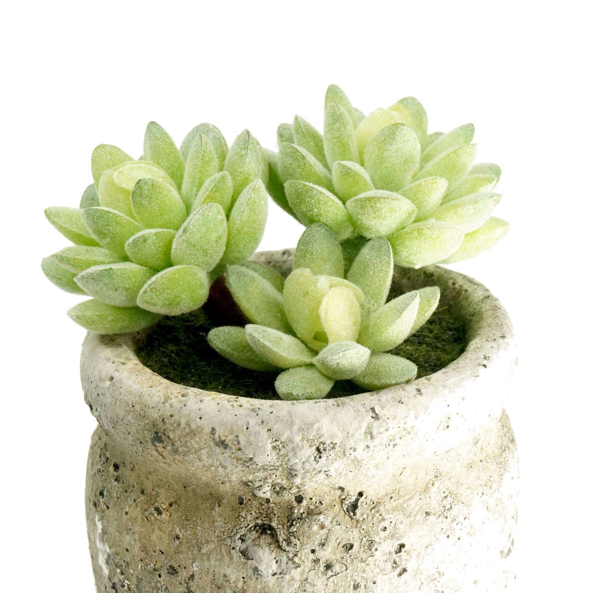 faux succulent in cement pot K-Cliffs