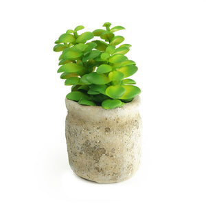 Set of 3 Realistic Faux Succulent Plants in Cement Pot Planter