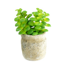 Load image into Gallery viewer, Set of 3 Realistic Faux Succulent Plants in Cement Pot Planter