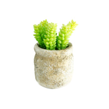 Load image into Gallery viewer, Set of 3 Realistic Faux Succulent Plants in Cement Pot Planter