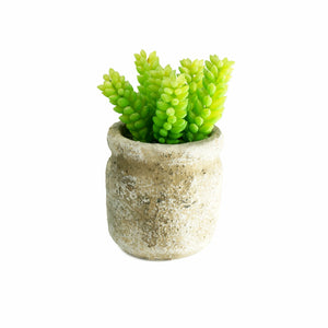 Set of 3 Realistic Faux Succulent Plants in Cement Pot Planter