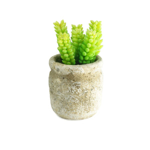 Set of 3 Realistic Faux Succulent Plants in Cement Pot Planter
