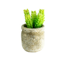 Load image into Gallery viewer, Set of 3 Realistic Faux Succulent Plants in Cement Pot Planter