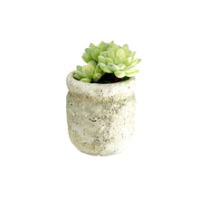 Load image into Gallery viewer, Set of 3 Realistic Faux Succulent Plants in Cement Pot Planter