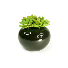 Load image into Gallery viewer, K-Cliffs Realistic Faux Moonglow Succulent Plant in Black Bowl Vase