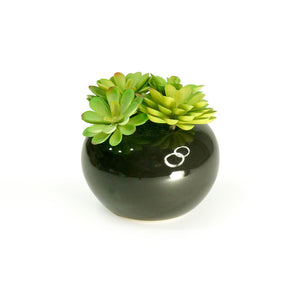 K-Cliffs Realistic Faux Moonglow Succulent Plant in Black Bowl Vase