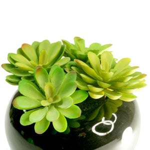 K-Cliffs Realistic Faux Moonglow Succulent Plant in Black Bowl Vase
