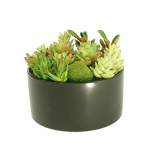 Load image into Gallery viewer, K-Cliffs Large Round Faux Succulent Planter with Moss Cactus Aloe Vera