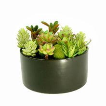 Load image into Gallery viewer, K-Cliffs Large Round Faux Succulent Planter with Moss Cactus Aloe Vera