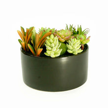 Load image into Gallery viewer, K-Cliffs Large Round Faux Succulent Planter with Moss Cactus Aloe Vera