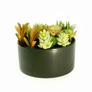 K-Cliffs Large Round Faux Succulent Planter with Moss Cactus Aloe Vera