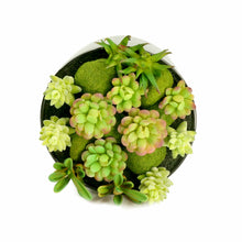 Load image into Gallery viewer, K-Cliffs Large Round Faux Succulent Planter with Moss Cactus Aloe Vera
