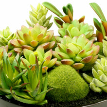 Load image into Gallery viewer, K-Cliffs Large Round Faux Succulent Planter with Moss Cactus Aloe Vera