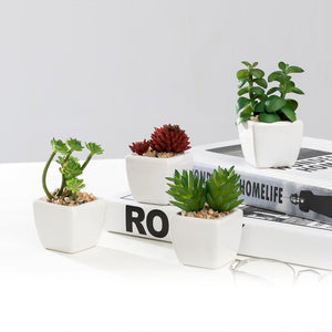 Set of 4 Different Mini Artificial Succulent Plants Potted in Cube-Shape White Ceramic Pot