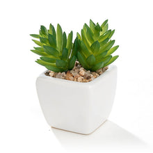 Load image into Gallery viewer, Set of 4 Different Mini Artificial Succulent Plants Potted in Cube-Shape White Ceramic Pot